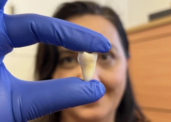 Was sind im Labor gezüchtete Zähne? Die neue natürliche Methode zum Zahnersatz